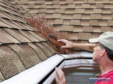 3 Biggest Roof Threats and How to Deal With Them
